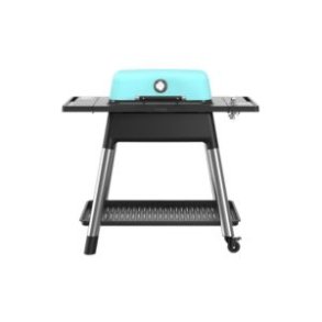 Force gasgrill fra Everdure