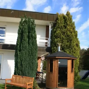 vertikal sauna tnde i have