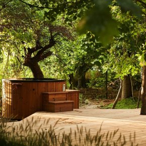 Topspa Xs udespa ved skov galleri 