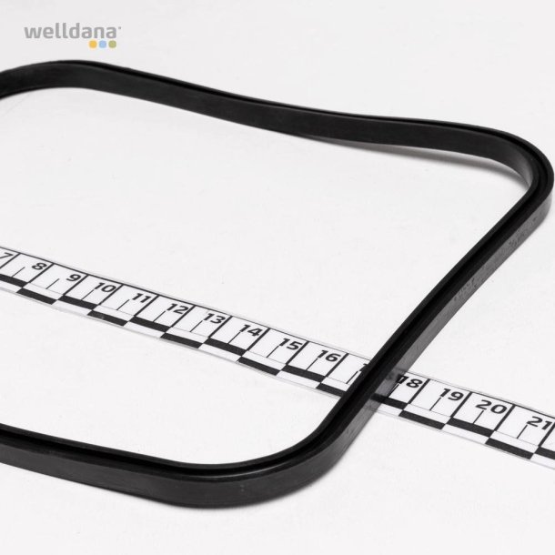 Hayward O-ring til pumpehus Superpump Pro