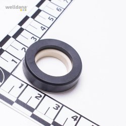 Kripsol Koral og Ondina  - Akselttning - del 17 og 18