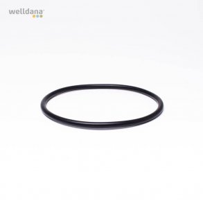 O-ring til pumpelg Ondina Poolpumpe fra Kripsol