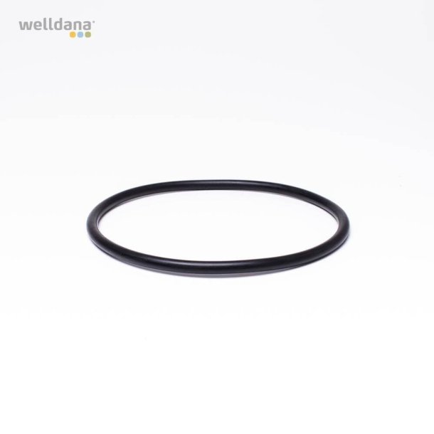 O-ring til pumpel&aring;g Ondina Poolpumpe fra Kripsol