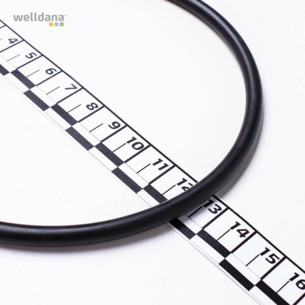 O-ring til pumpelg Ondina Poolpumpe fra Kripsol