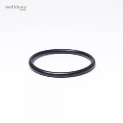 Diffuser gasket til Ondina Poolpumpe fra Kripsol