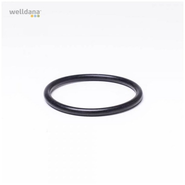 Diffuser gasket til Ondina Poolpumpe fra Kripsol