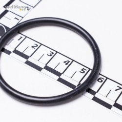 Diffuser gasket til Ondina Poolpumpe fra Kripsol