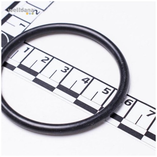 Diffuser gasket til Ondina Poolpumpe fra Kripsol