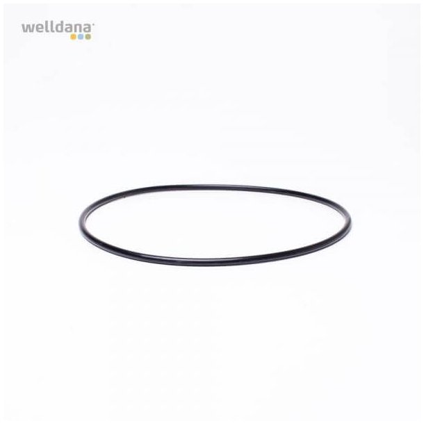 Flange o-ring til Ondina Poolpumpe fra Kripsol