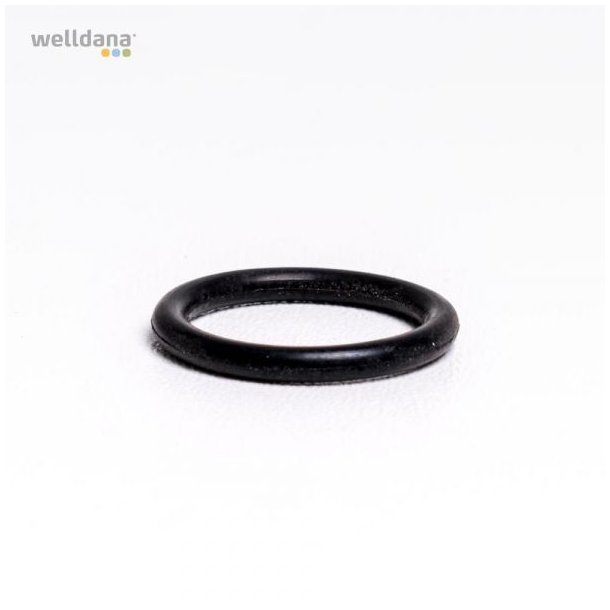 O-ring til 6-vejs ventil til welldana sandfilter