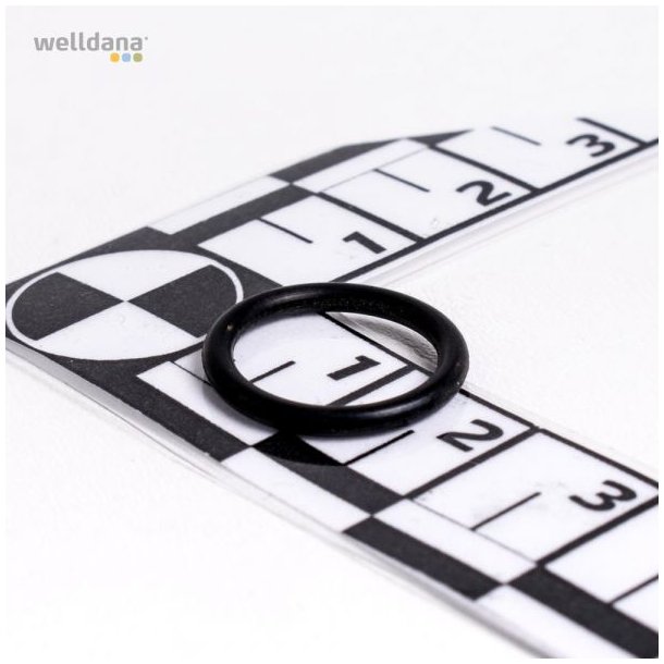 O-ring til 6-vejs ventil til welldana sandfilter