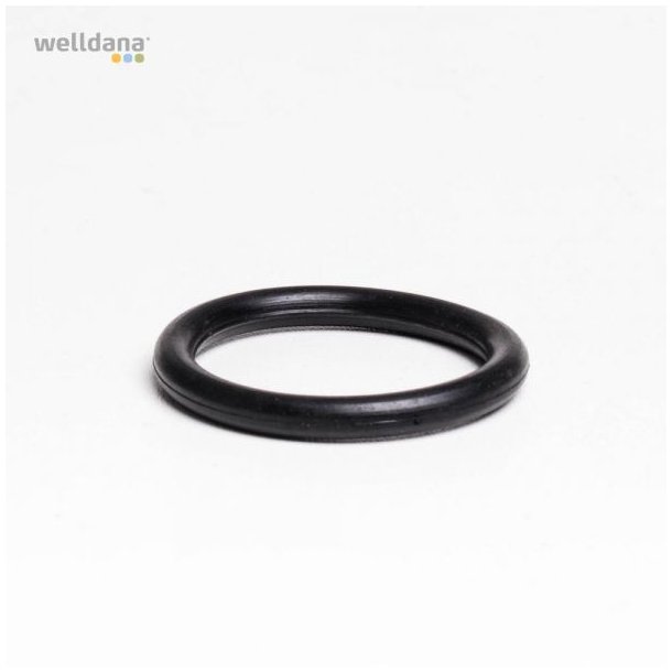 O-ring f. rotor 2" -  Top ventil Welldana sandfilter 