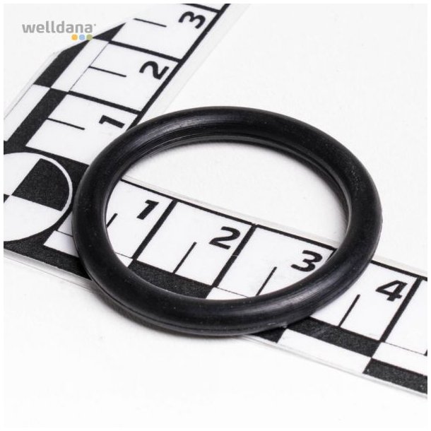O-ring f. rotor 2" -  Top ventil Welldana sandfilter 