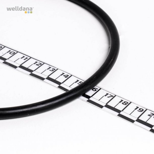 O-ring til BT/Artik-filter nr. 03. (6mm -  145mm)