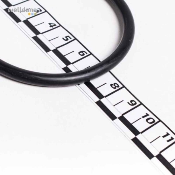Kripsol O-ring til Union for Koral pumpe 63 mm