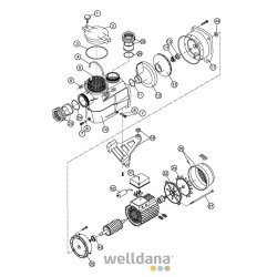 O-ring til lg Koral Pumpe