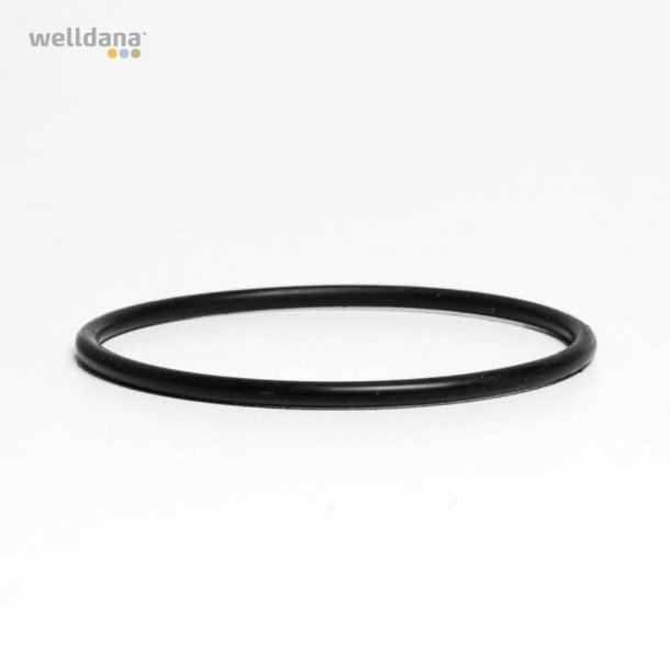 Kripsol - O-ring topventil - O-ring til rr sandfilter