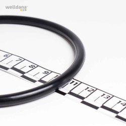 O-ring til Welldana pool lampe