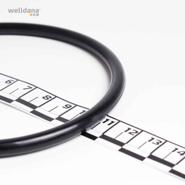 O-ring til Welldana pool lampe