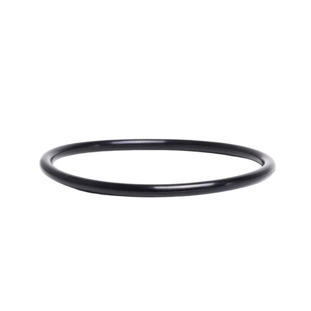 O-ring til Welldana pool lampe