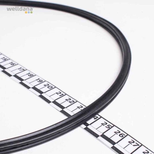O-ring til lg p Sidemonteret Welldana Sandfilter