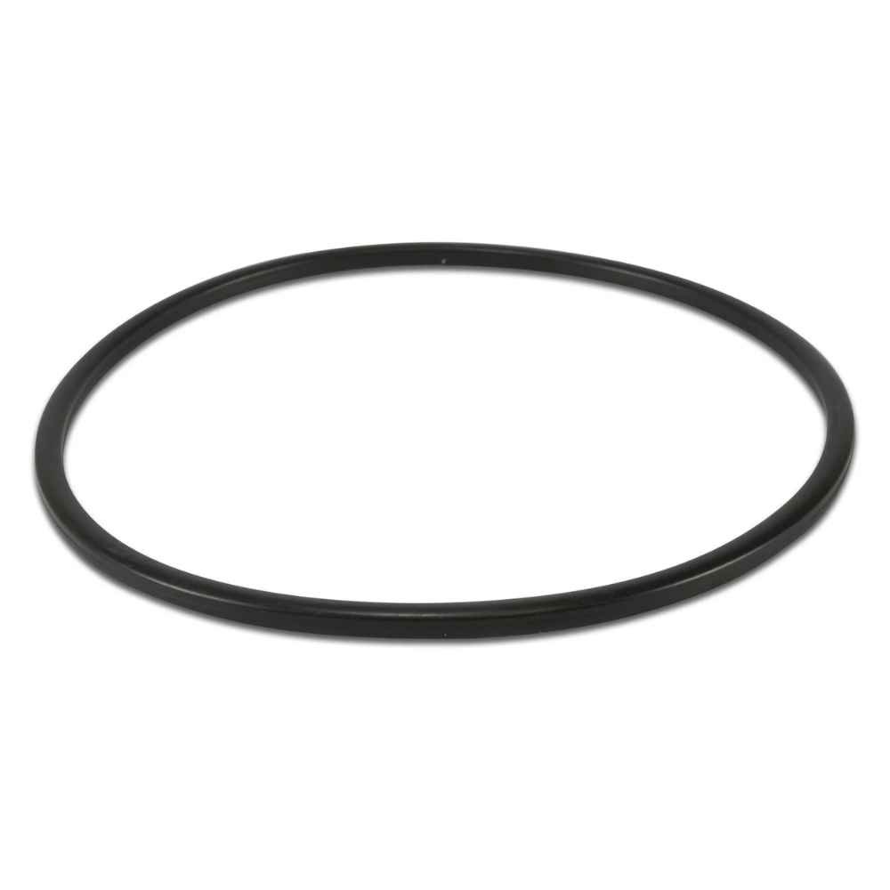 Oring til låg på poolpumpe Flotide SPV 150 Poolpumpe reservedele