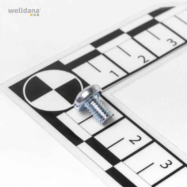 Skrue 4x6mm ph2