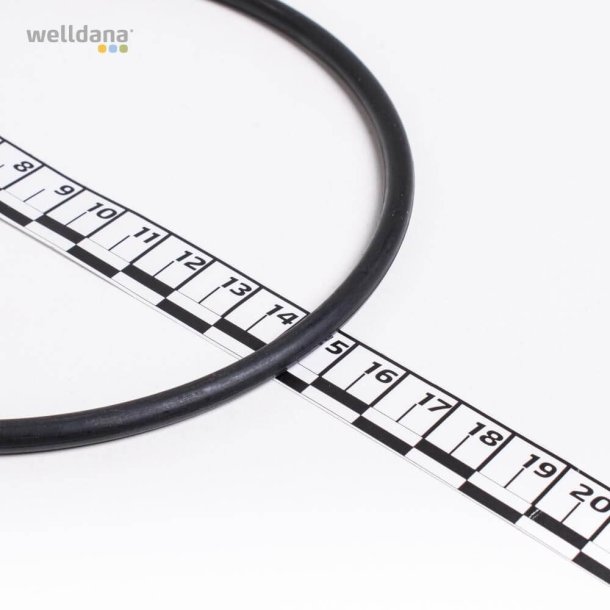 Speck - O-ring til lg Poolpumpe Badu Top - Magna