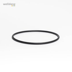 Speck - O-ring til lg Poolpumpe Badu Top - Magna