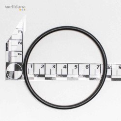 Unions set for Badu Gamma Poolpumpe 63 mm