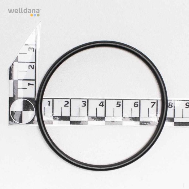 Unions set for Badu Gamma Poolpumpe 63 mm