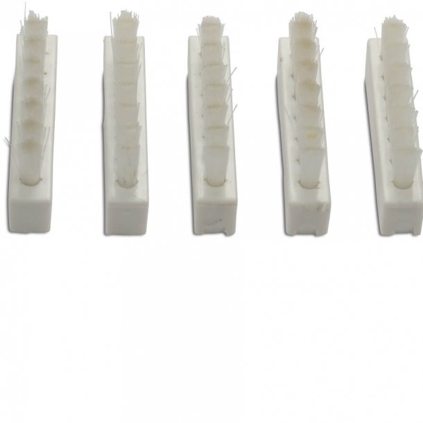 B�rste s�t 6 stk til Catfish, MAX, MAX CG