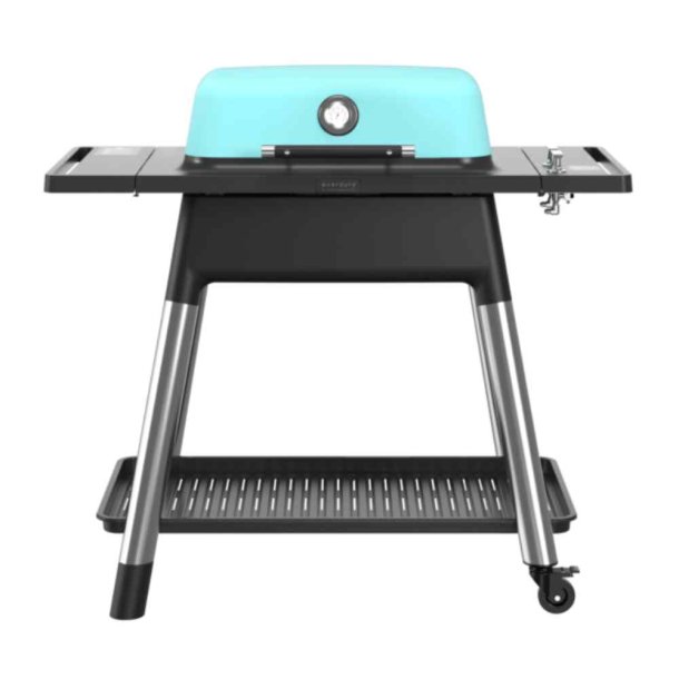 Force Gasgrill Everdure GEN II - 2 brnder