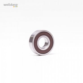 Kripsol Kugleleje 6202-2RSH C3 - Koral og Ondina poolpumper