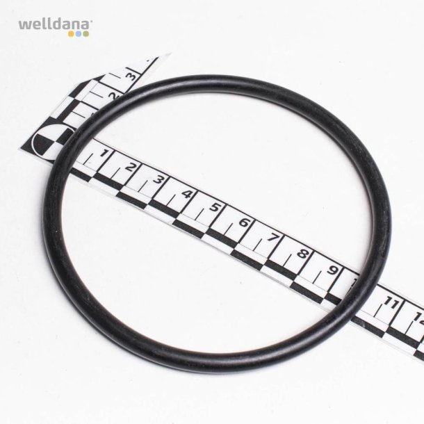 O-ring til adaptorst Karpa - Kapri