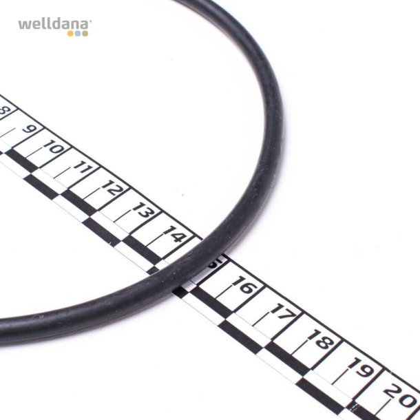 O-ring til forfilter til BADU 90 pumpe