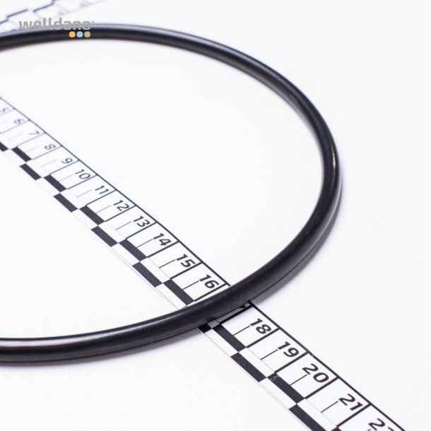 O-ring til lg Koral Pumpe
