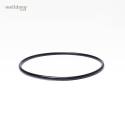 O-ring til lg Koral Pumpe