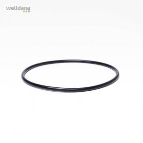 O-ring til lg Koral Pumpe