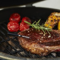 Stegetermometer Tr�dl�s - Witt By CookPerfect Wireless