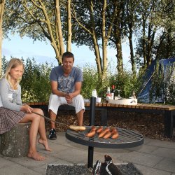 The Fire Pit blsted 58 cm- Greenhand