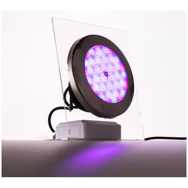 Moonlight LED Poollamper RGB Flere varianter