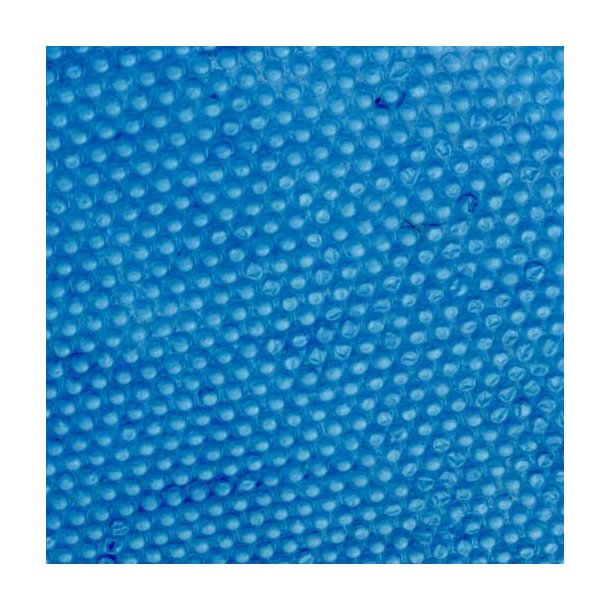 Isotermisk Overtrk 180 mikron Oval Pool 6 strrelser