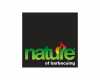 Nature of Barbecuing