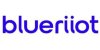 Blueriiot